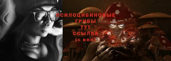 дурь Алзамай