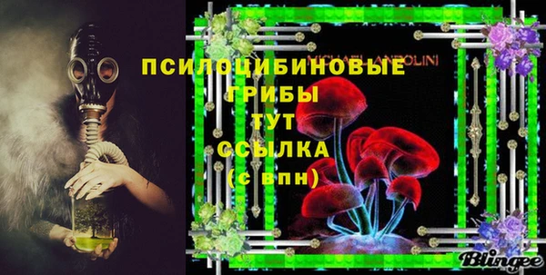 дурь Алзамай